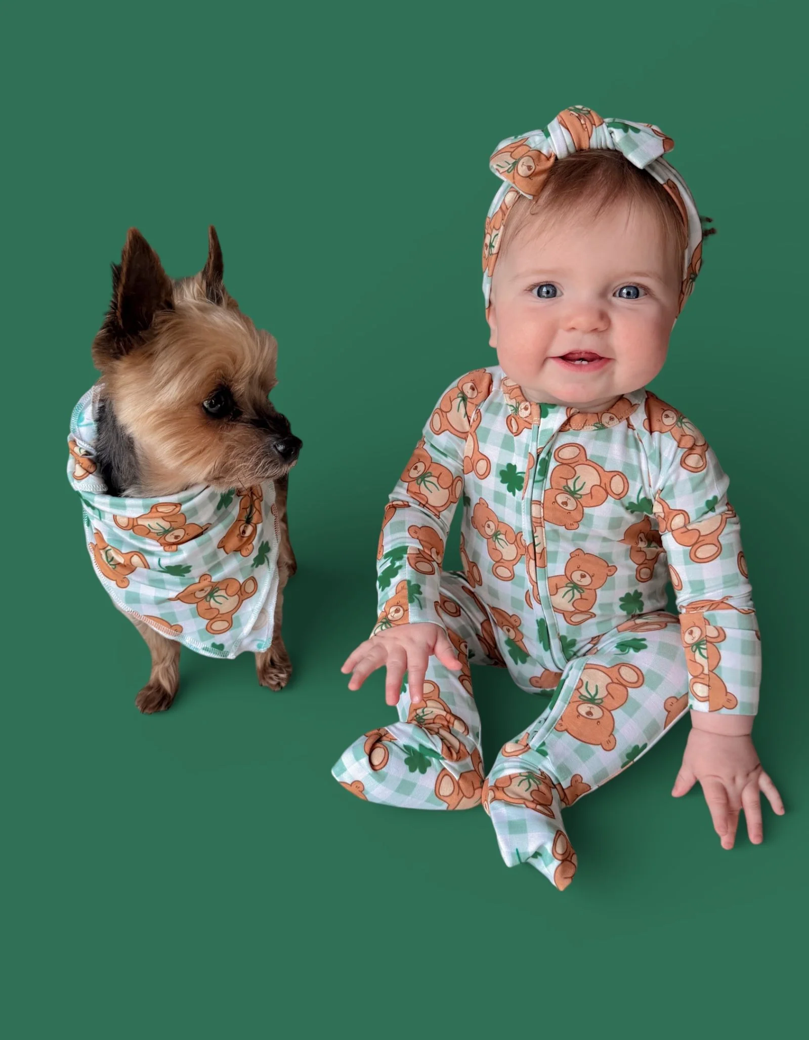 TEDDY O'LUCK DREAM DOG BANDANA - Image 11